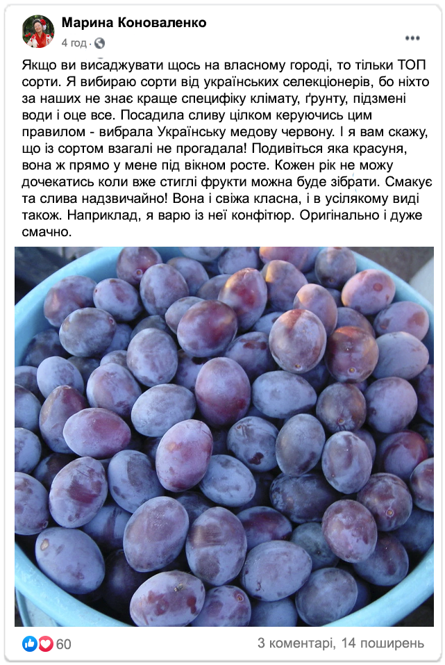 Заголовок