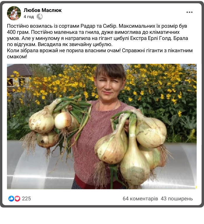 Заголовок