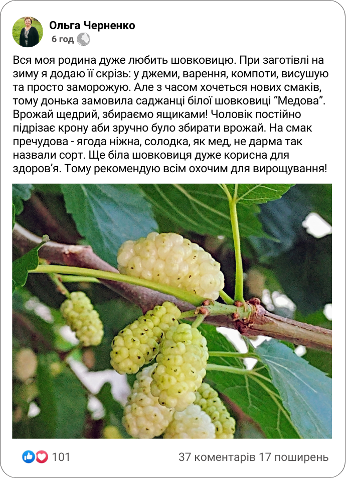 Заголовок